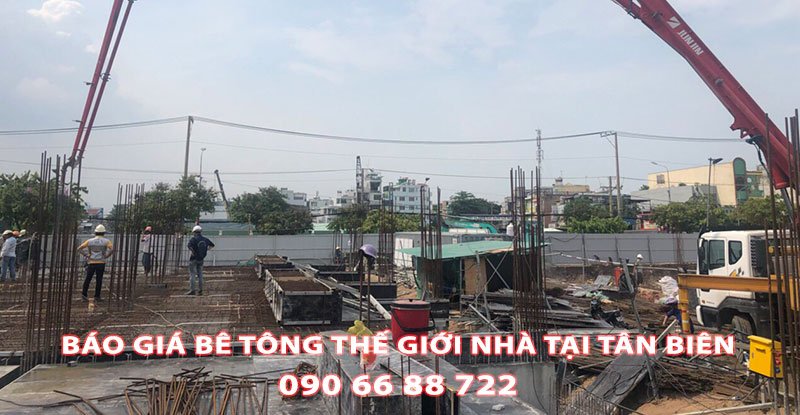 Bang-Gia-Be-Tong-Tuoi-The-Gioi-Nha-Tai-Tan-Bien (2)
