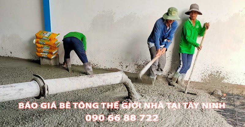 Bang-Gia-Be-Tong-Tuoi-The-Gioi-Nha-Tai-Tay-Ninh-Moi-Nhat (3)