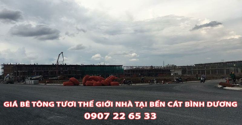 Bang-Gia-Be-Tong-Tuoi-The-Gioi-Nha-Tai-Ben-Cat (1)