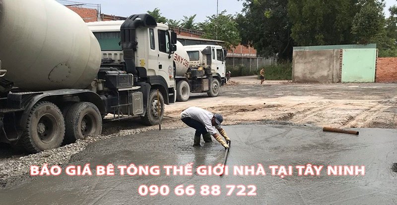 Bang-Gia-Be-Tong-Tuoi-The-Gioi-Nha-Tai-Tay-Ninh-Moi-Nhat (2)