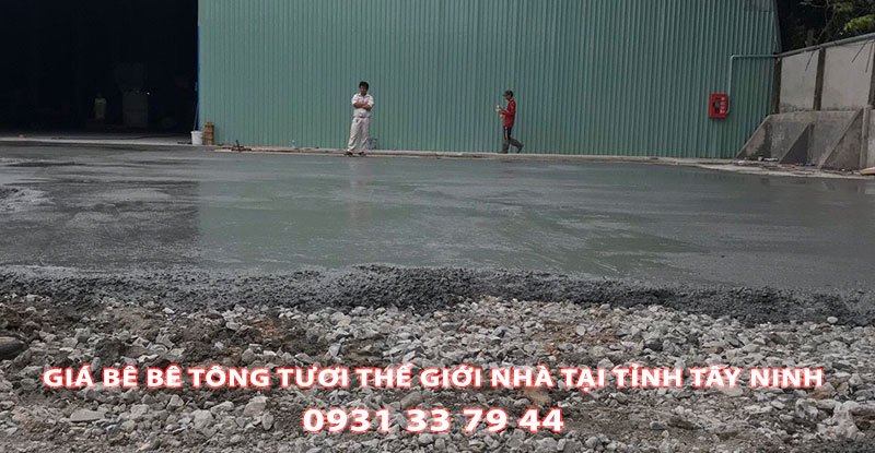 Bang-Gia-Be-Tong-Tuoi-The-Gioi-Nha-Tai-Tinh-Tay-Ninh (2)